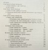 Włodzimierz Szturc Ironia romantyczna. Pojęcie, granice i poetyka